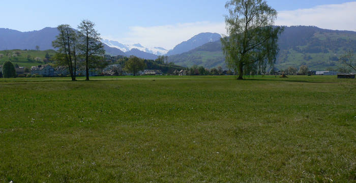 Nuoler Ried