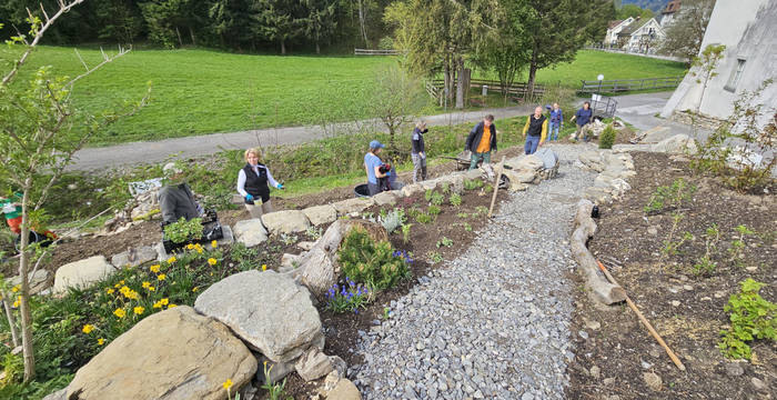 Pflanzeinsatz Wildbiendli Paradies Einsiedeln